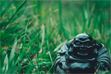 骑马与砍杀战团（骑马与砍杀：团队战的艺术）